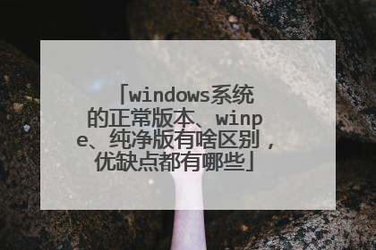 windows系统的正常版本、winpe、纯净版有啥区别,优缺点都有哪些