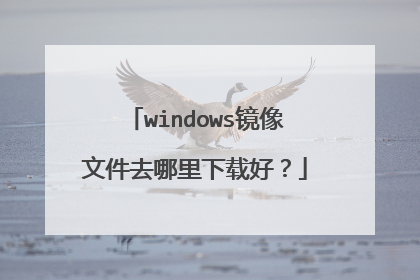 windows镜像文件去哪里下载好?