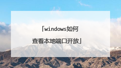 windows如何查看本地端口开放