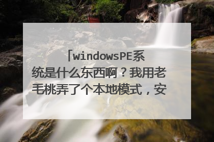windowsPE系统是什么东西啊?我用老毛桃弄了个本地模式,安到了E盘一个文件夹里。(因为没U盘