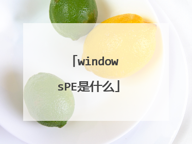 windowsPE是什么