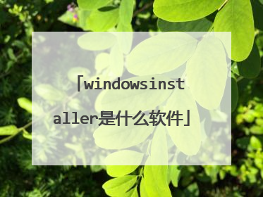 windowsinstaller是什么软件
