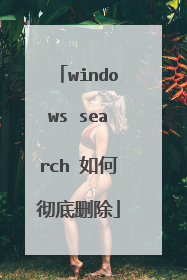 windows search 如何彻底删除