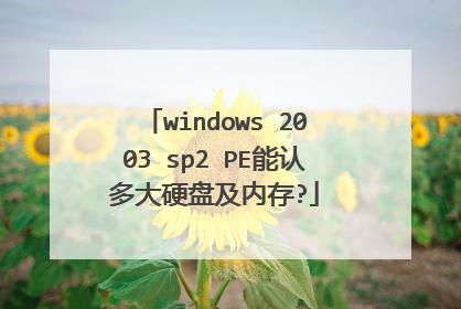 windows 2003 sp2 PE能认多大硬盘及内存?