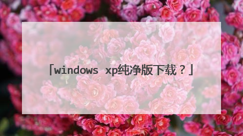 windows xp纯净版下载?