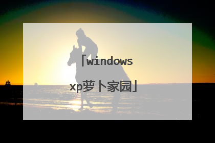 windows xp萝卜家园