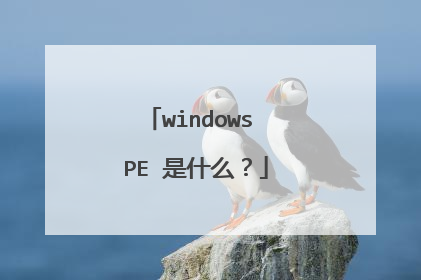 windows PE 是什么?