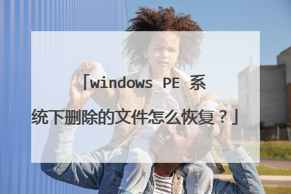 windows PE 系统下删除的文件怎么恢复？