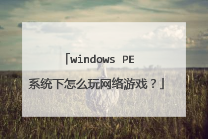 windows PE 系统下怎么玩网络游戏？