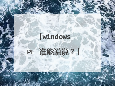 windows PE 谁能说说?