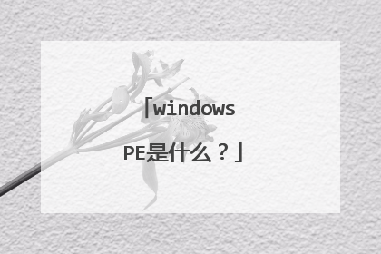 windows PE是什么？