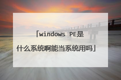 windows PE是什么系统啊能当系统用吗