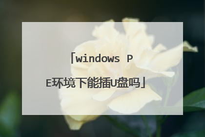 windows PE环境下能插U盘吗