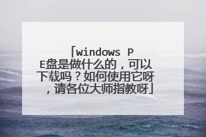 windows PE盘是做什么的，可以下载吗？如何使用它呀，请各位大师指教呀