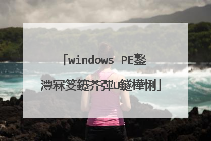 windows PE鐜�澧冧笅鑳芥彃U鐩樺悧