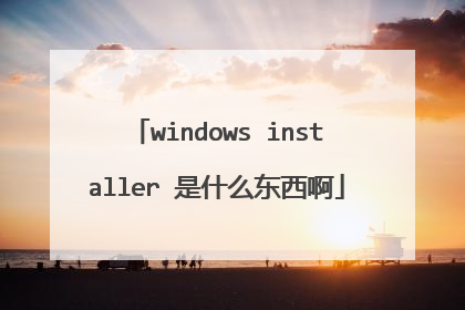 windows installer 是什么东西啊
