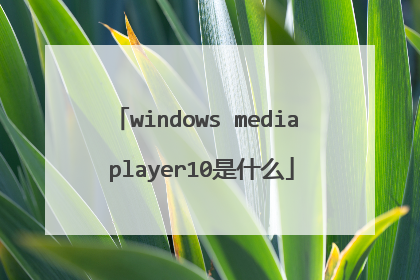 windows media player10是什么