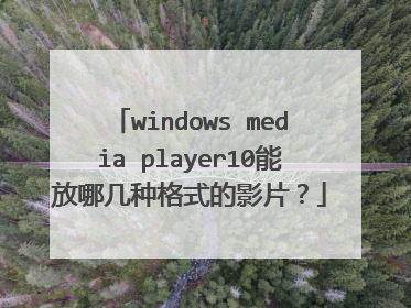 windows media player10能放哪几种格式的影片?
