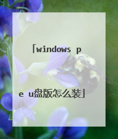 windows pe u盘版怎么装