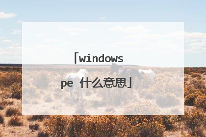 windows pe 什么意思