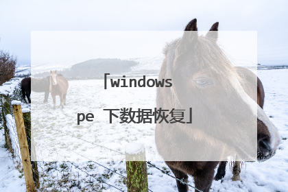 windows pe 下数据恢复