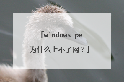 windows pe 为什么上不了网？