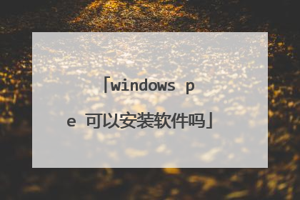 windows pe 可以安装软件吗