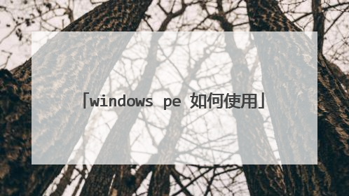 windows pe 如何使用