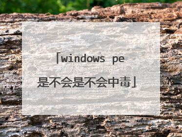 windows pe 是不会是不会中毒