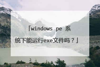 windows pe 系统下能运行exe文件吗?