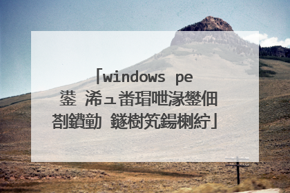 windows pe 鍙�浠ュ畨瑁呭湪鐢佃剳鐨勭‖鐩樹笂鍚楋紵