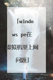 windows pe在虚拟机里上网问题