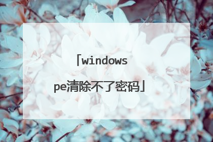windows pe清除不了密码