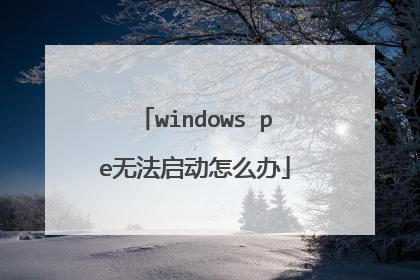windows pe无法启动怎么办