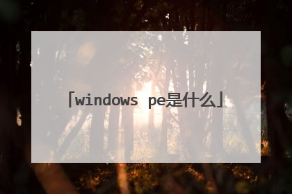 windows pe是什么