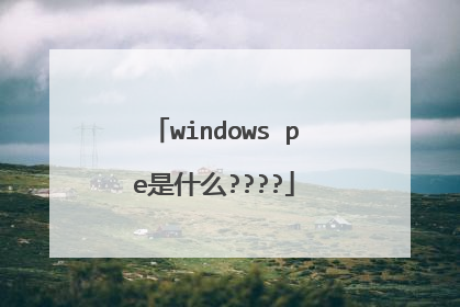 windows pe是什么????