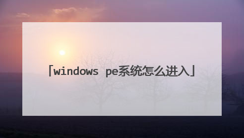 windows pe系统怎么进入