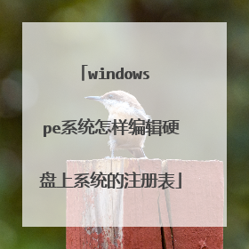 windows pe系统怎样编辑硬盘上系统的注册表