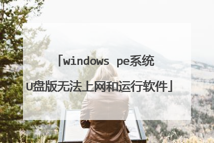 windows pe系统U盘版无法上网和运行软件