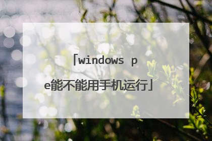 windows pe能不能用手机运行