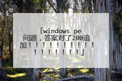 windows pe问题，答案对了200追加！！！！！！！！！！！！！！！！！