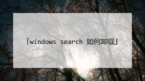 windows search 如何卸载