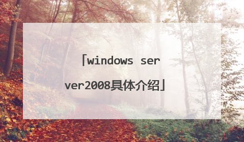 windows server2008具体介绍