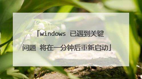 windows 已遇到关键问题 将在一分钟后重新启动