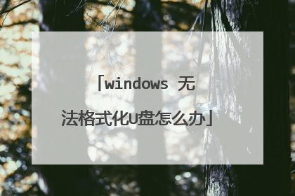 windows 无法格式化U盘怎么办