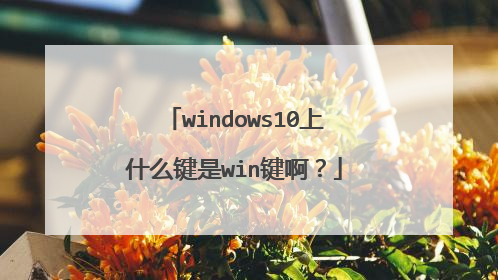 windows10上什么键是win键啊?