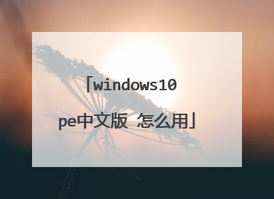 windows10 pe中文版 怎么用