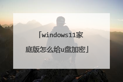 windows11家庭版怎么给u盘加密