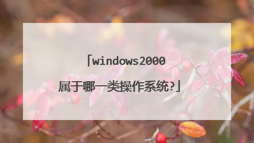 windows2000属于哪一类操作系统?