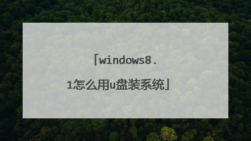 windows8.1怎么用u盘装系统